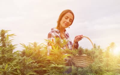 Celebrate Women’s Month with These 4 Women-Owned Cannabis Brands